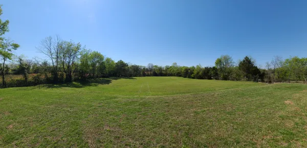 a view of a green field with trees in the background