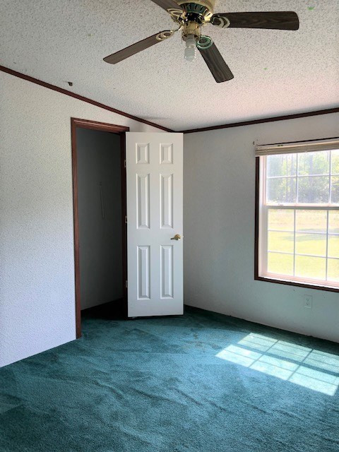 1145 Colbert Bridge Road Aiken, SC 29803 - Photo 9 of 19