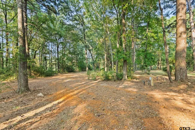 a view of a yard with large trees