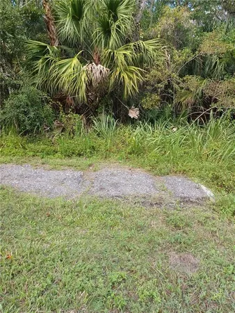 a view of a yard with a plant