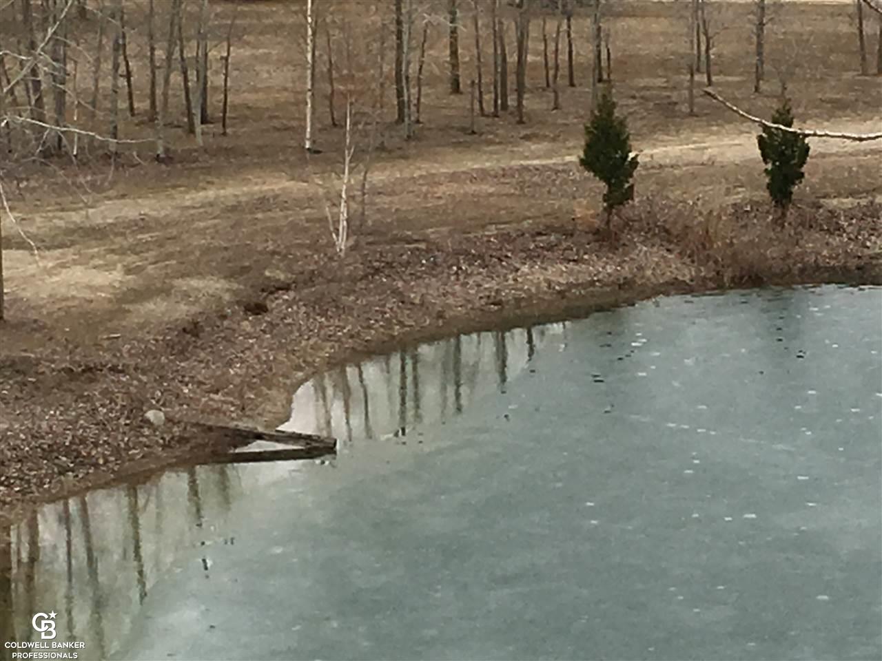 2460 West Harrington Road Croswell, MI 48422 - Photo 50 of 85 Stocked Fish Pond