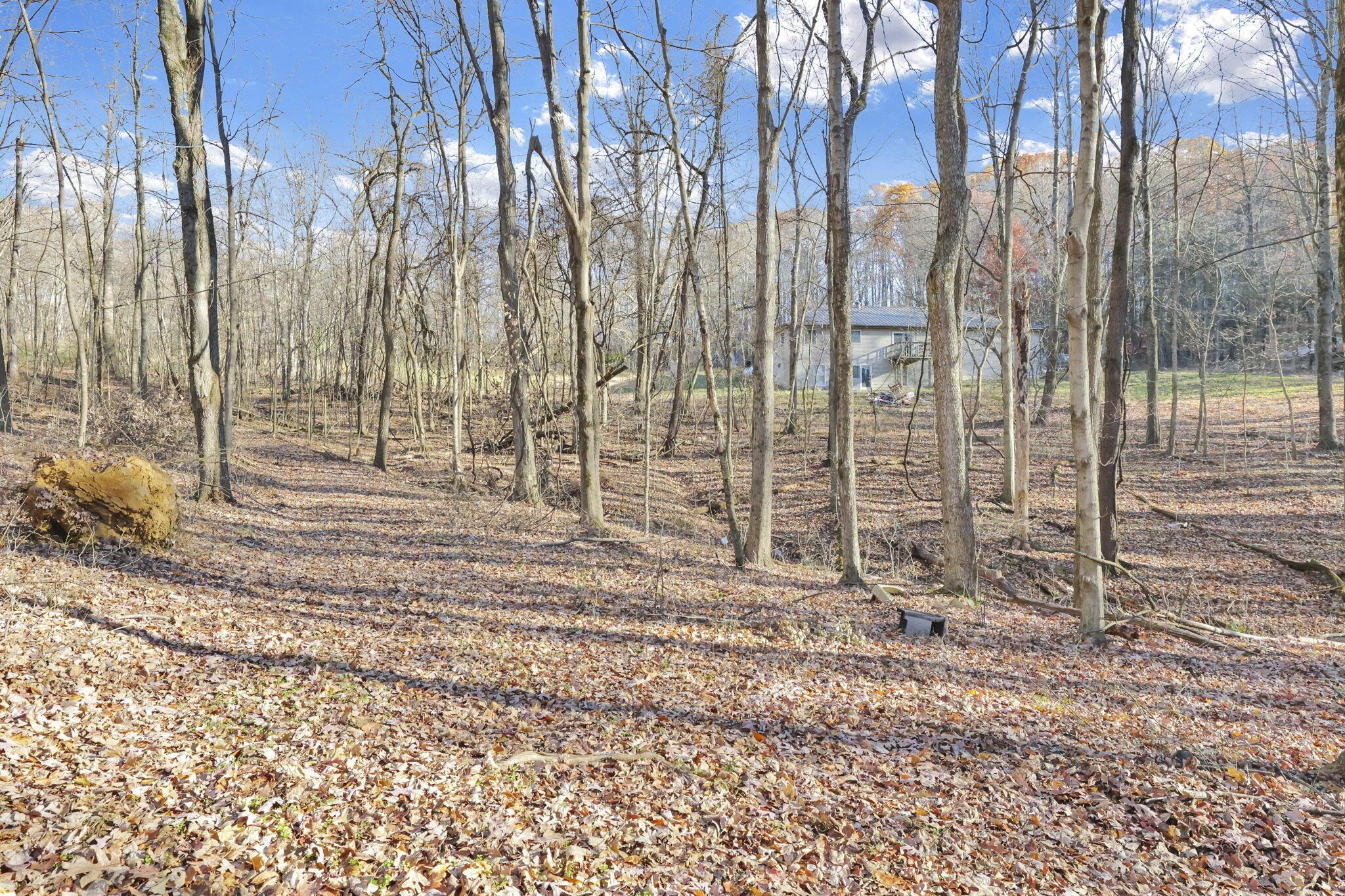 0 Mulberry Road Southeast Mount Perry, OH 43760 - Photo 7 of 9 33-web-or-mls-011A9857