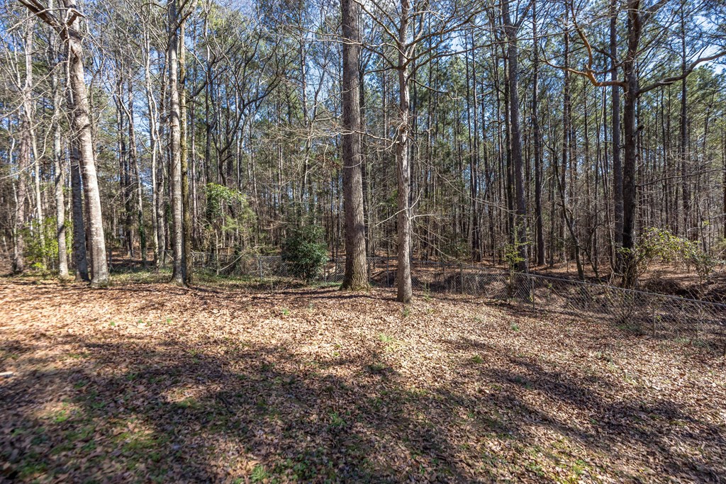 829 Thrash Road LaGrange, GA 30241 - Photo 37 of 52