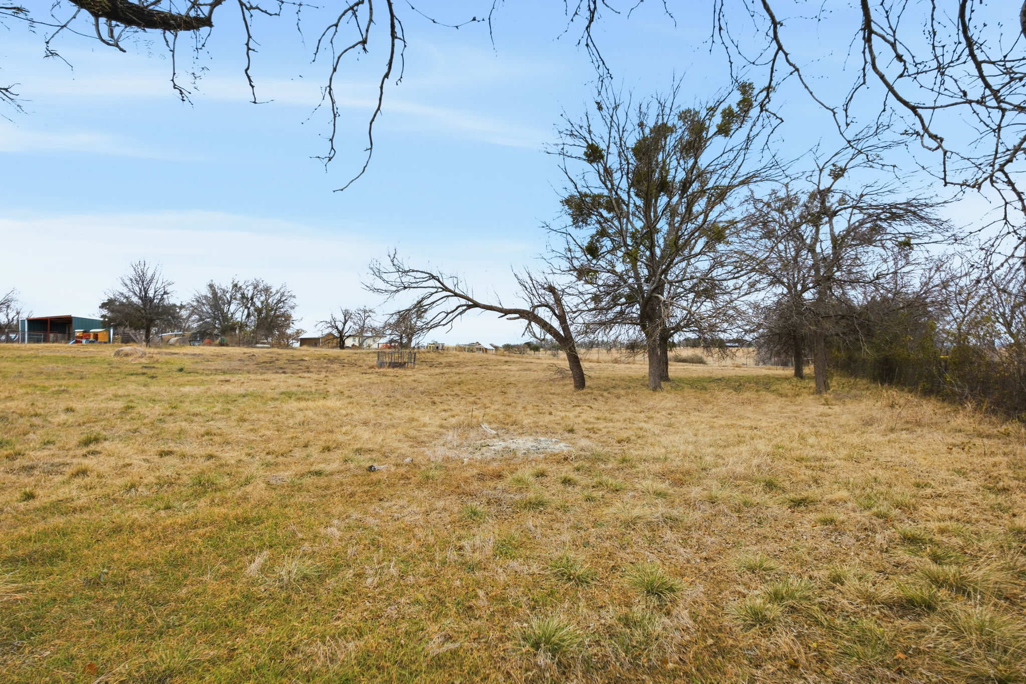 610 Eastview Drive Georgetown, TX 78626 - Photo 26 of 39 a view of yard with trees