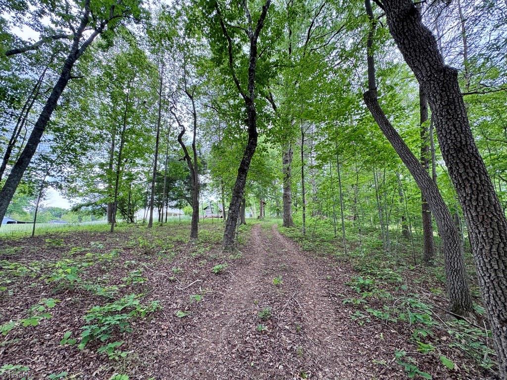431 Needham Road Pilot Mountain, NC 27041 - Photo 23 of 43 Gallery Image 23