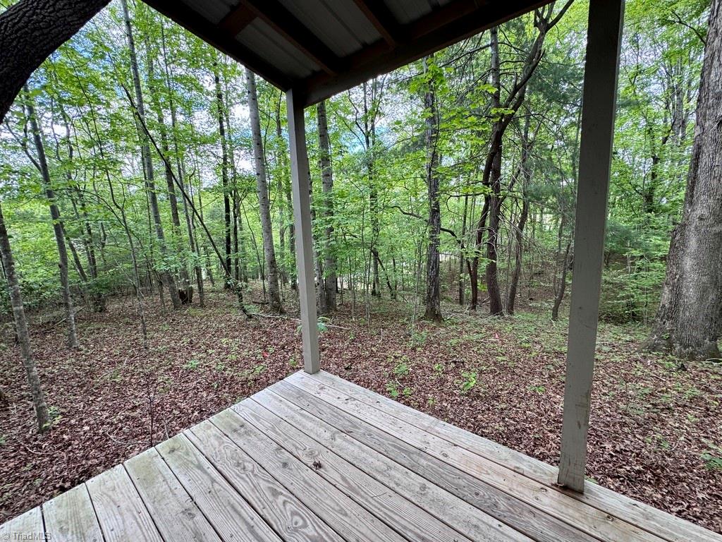 431 Needham Road Pilot Mountain, NC 27041 - Photo 27 of 43 Gallery Image 27