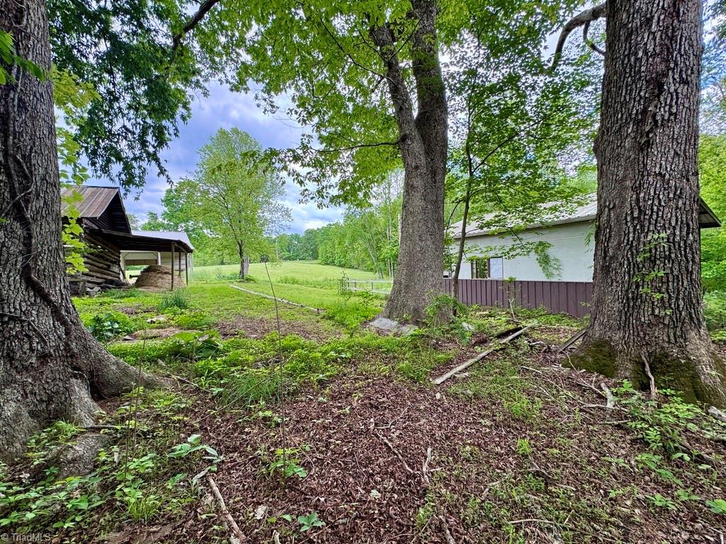 431 Needham Road Pilot Mountain, NC 27041 - Photo 34 of 43 Gallery Image 34