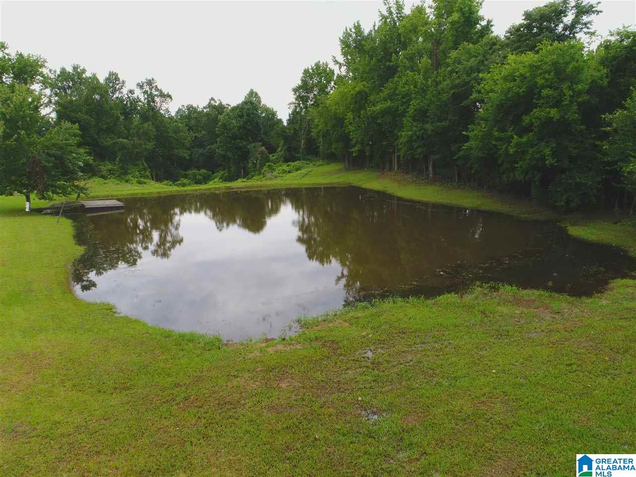 1670 Dutton Hill Road Oakman, AL 35579 - Photo 37 of 44