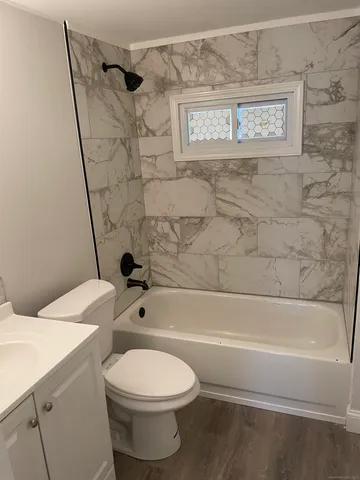 a bathroom with a toilet and a bathtub