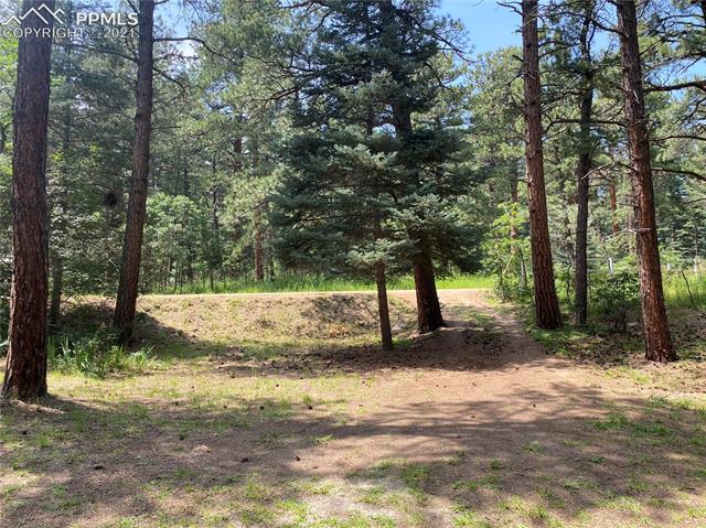 10240 Park Road Rye, CO 81069 - Photo 24 of 38 Gallery Image 24