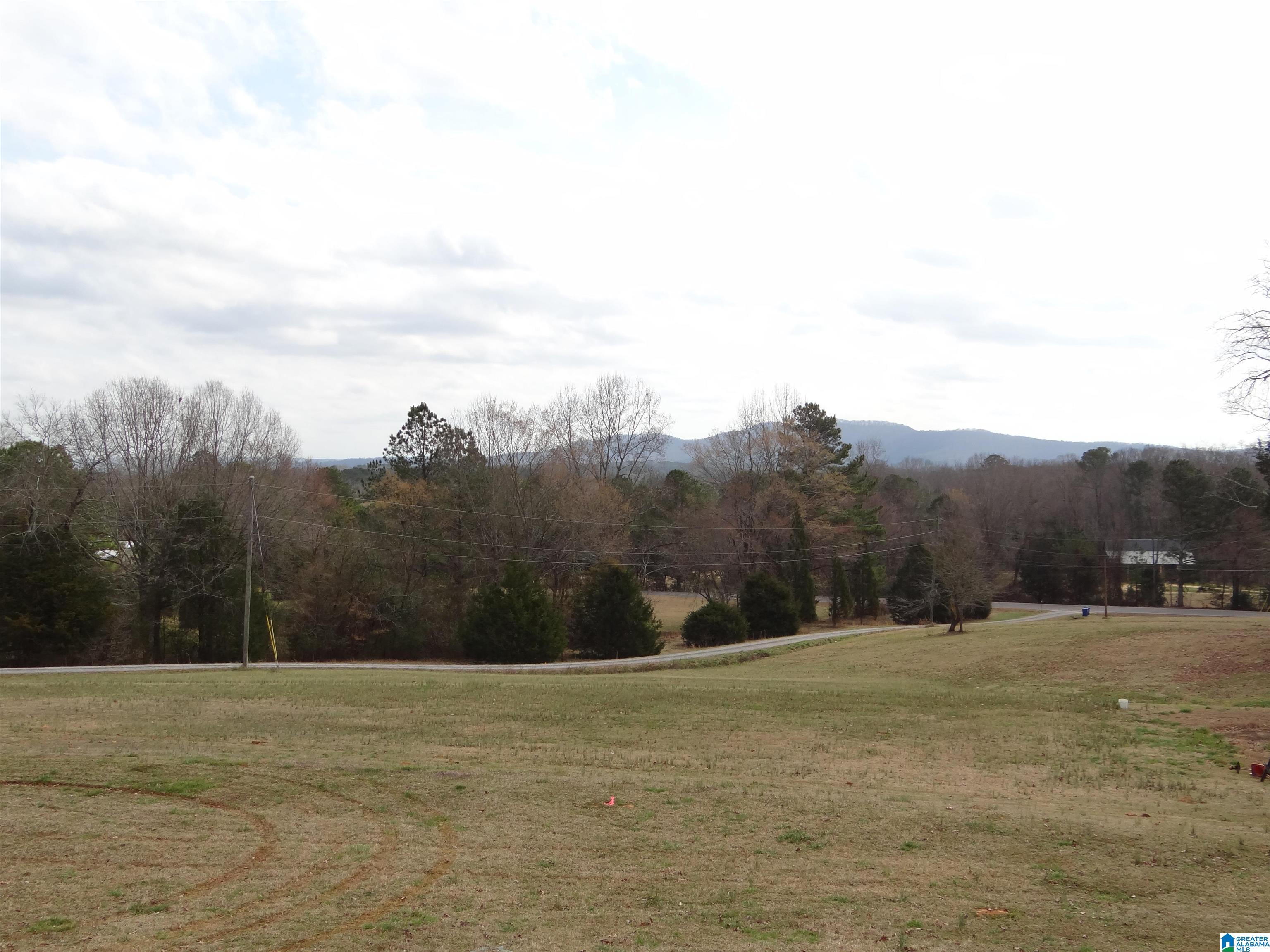 10861 Highway 11 Springville, AL 35146 - Photo 8 of 38 Gallery Image 8