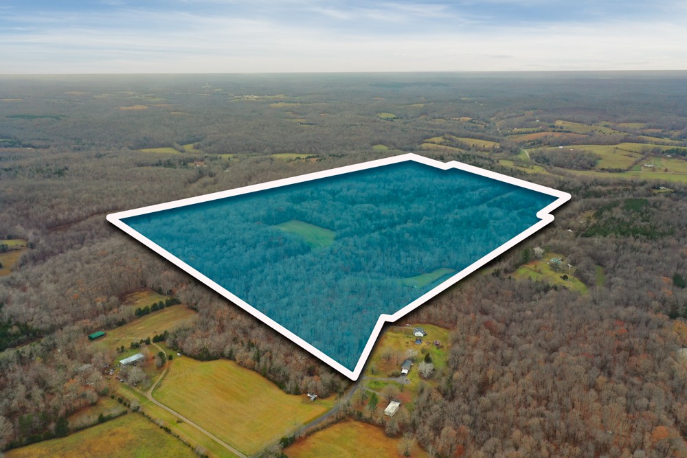 1199 Alvin Dickson Road Dickson, TN 37055 - Photo 1 of 19 Gallery Image 1