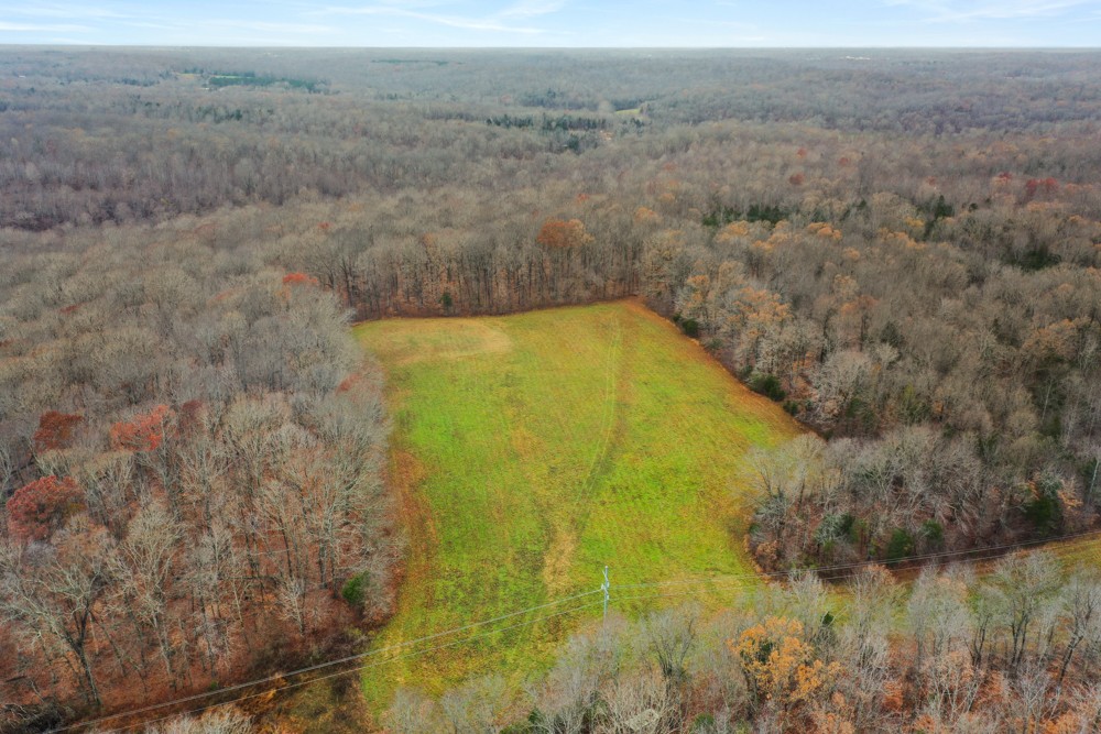 1199 Alvin Dickson Road Dickson, TN 37055 - Photo 2 of 19 Gallery Image 2