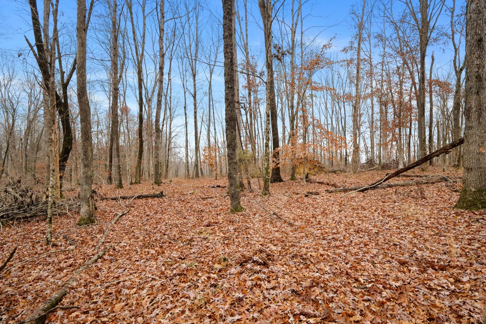 1199 Alvin Dickson Road Dickson, TN 37055 - Photo 13 of 19 Gallery Image 13