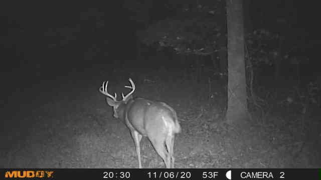 1199 Alvin Dickson Road Dickson, TN 37055 - Photo 15 of 19 Gallery Image 15