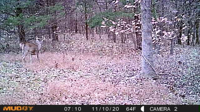 1199 Alvin Dickson Road Dickson, TN 37055 - Photo 17 of 19 Gallery Image 17