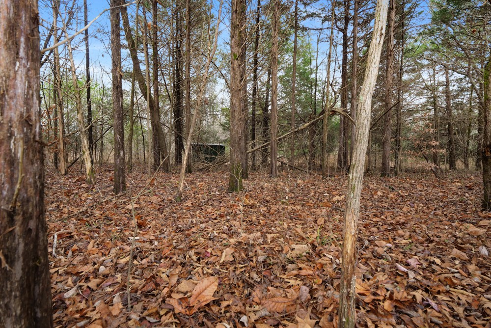 1199 Alvin Dickson Road Dickson, TN 37055 - Photo 4 of 19 Gallery Image 4
