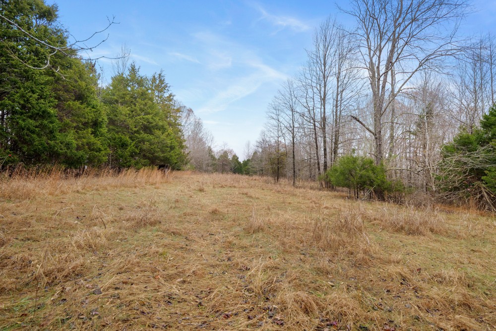 1199 Alvin Dickson Road Dickson, TN 37055 - Photo 5 of 19 Gallery Image 5