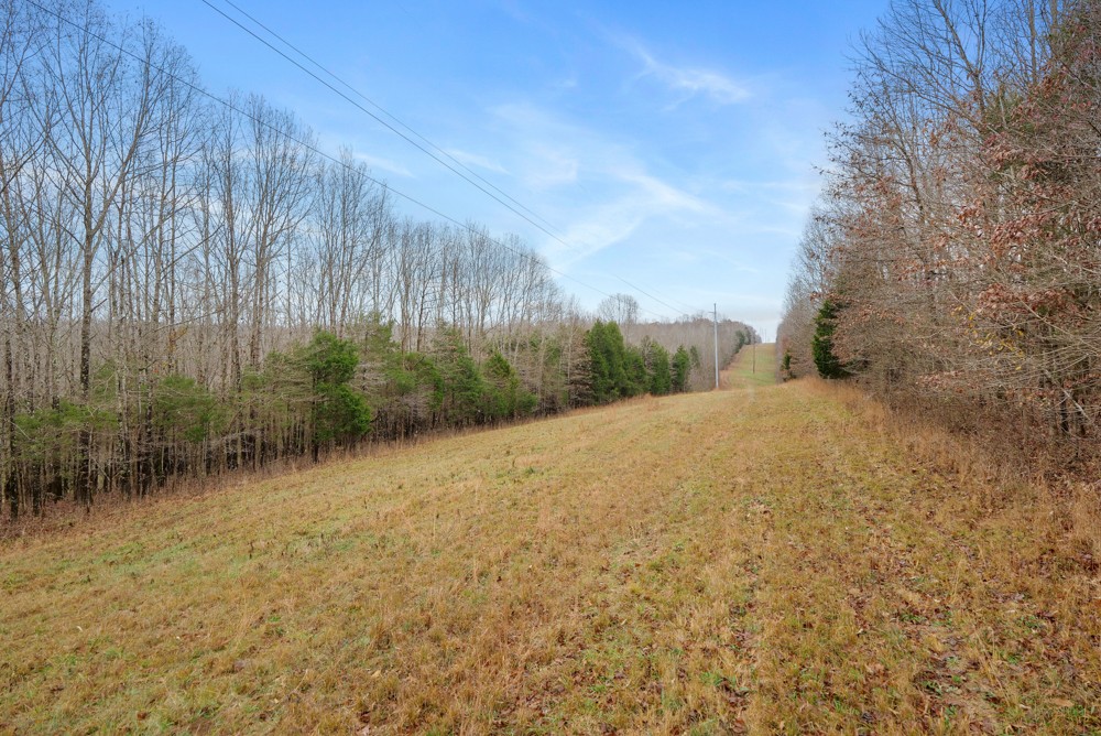 1199 Alvin Dickson Road Dickson, TN 37055 - Photo 6 of 19 Gallery Image 6