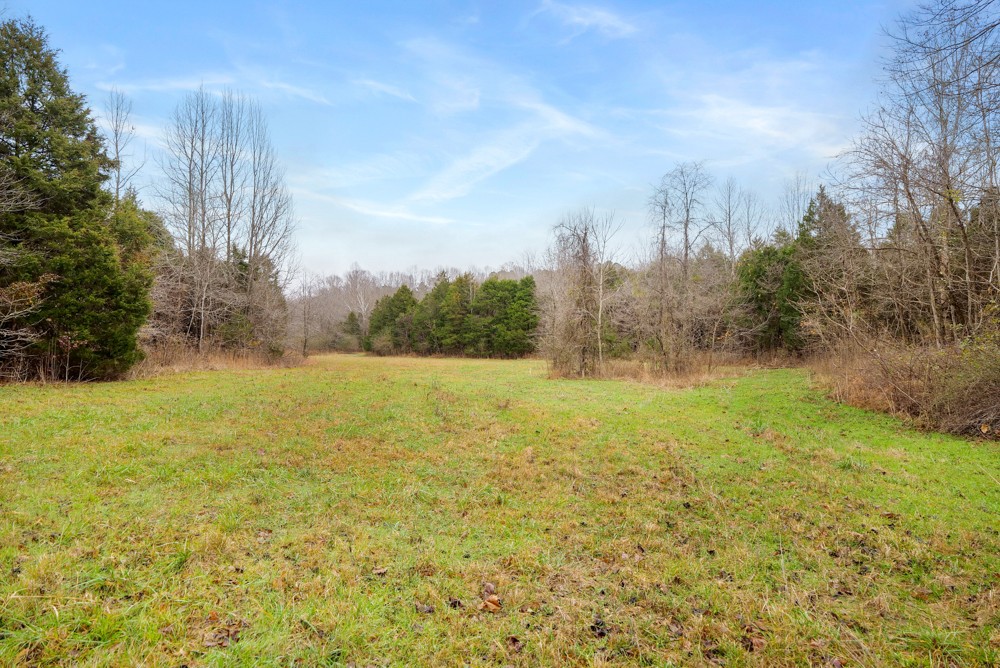 1199 Alvin Dickson Road Dickson, TN 37055 - Photo 7 of 19 Gallery Image 7