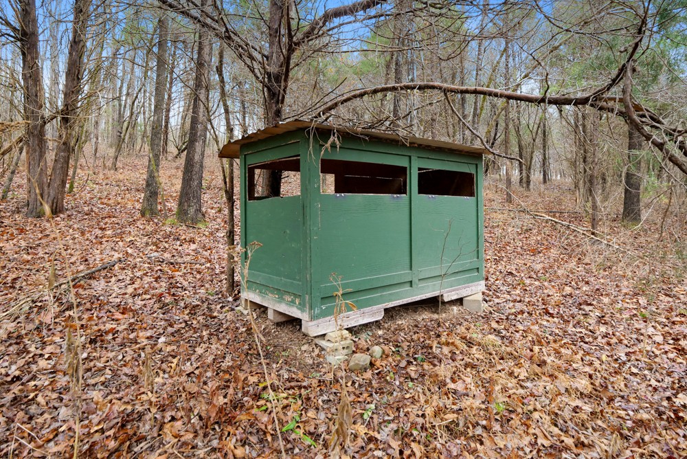 1199 Alvin Dickson Road Dickson, TN 37055 - Photo 8 of 19 Gallery Image 8