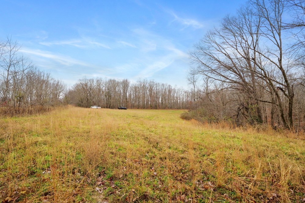 1199 Alvin Dickson Road Dickson, TN 37055 - Photo 10 of 19 Gallery Image 10