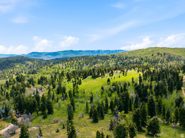 140 West Elk Road, Unit 140 Coalville, UT 84017 - Photo 8 of 29