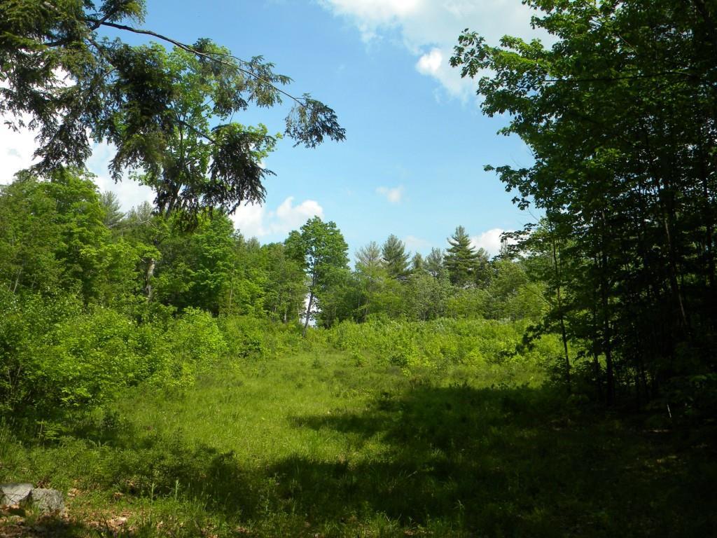 Lot 6 Old Meetinghouse Road Porter, ME 04068 - Photo 6 of 16 Photo