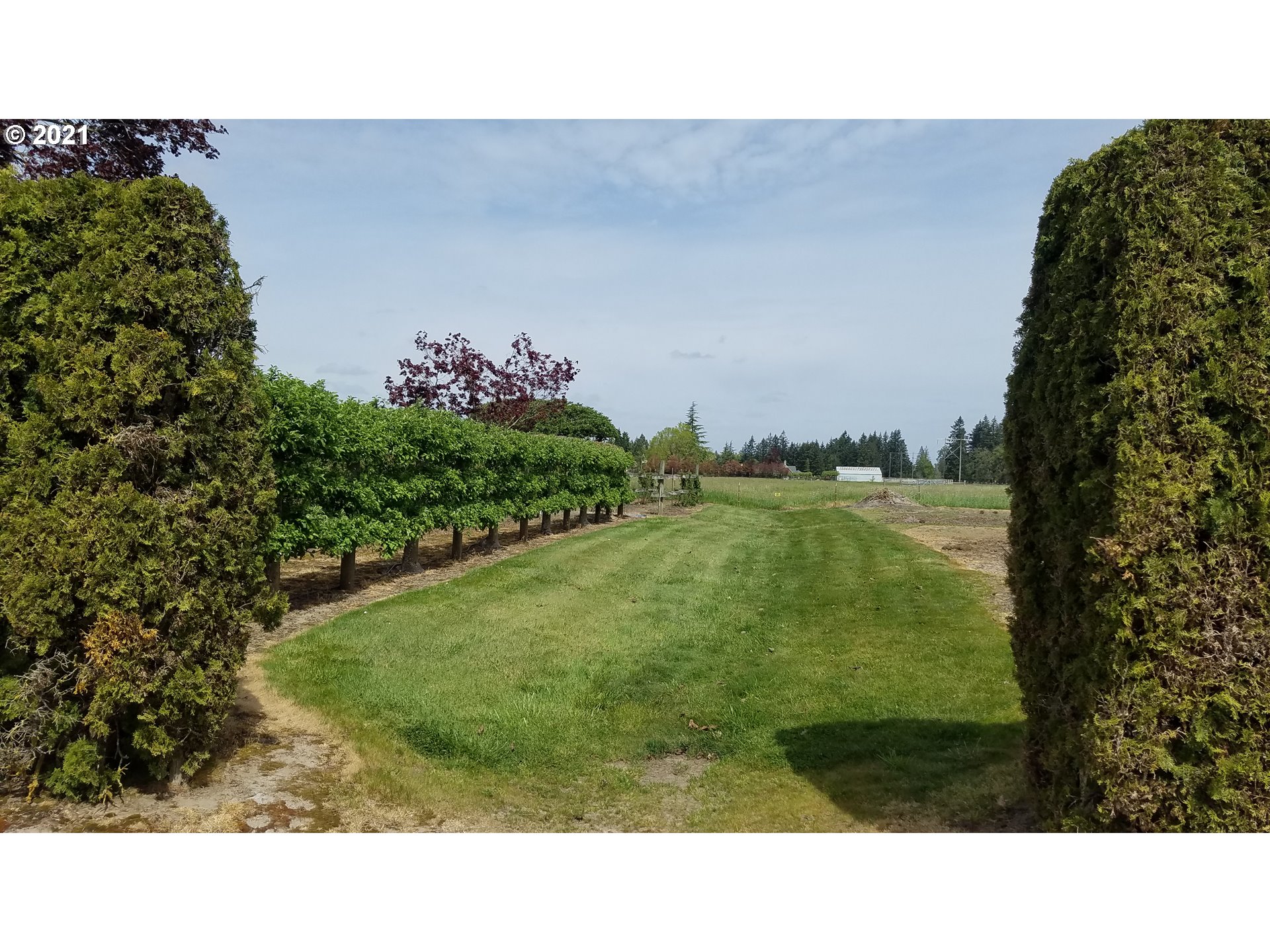 9657 South Kraxberger Road Canby, OR 97013 - Photo 24 of 32 a open area with green field