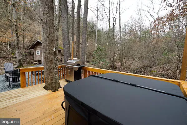 a view of a backyard with large trees