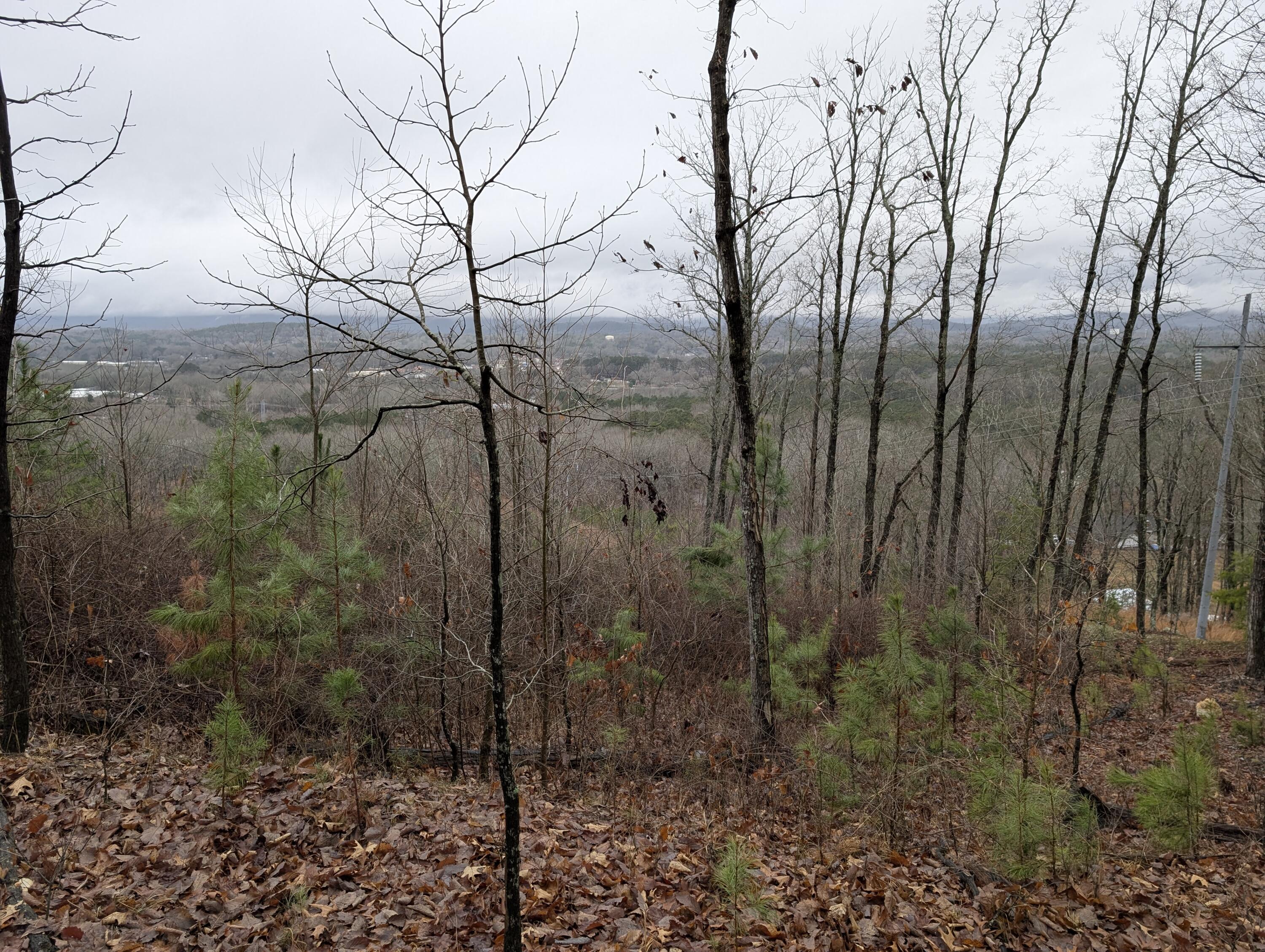 22-ac Sunset Drive LaFayette, GA 30728 - Photo 13 of 37 35 Sunset Dr. 1