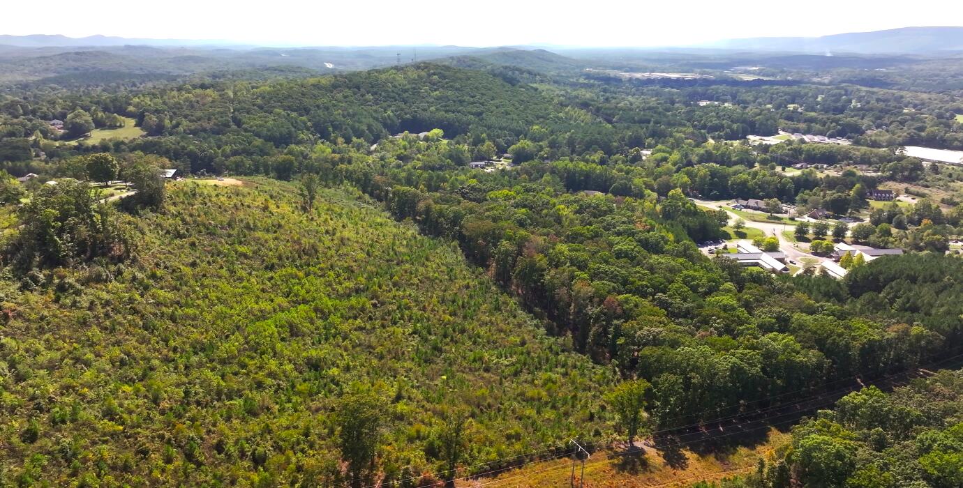 22-ac Sunset Drive LaFayette, GA 30728 - Photo 15 of 37 3.11 (Property Aerial)