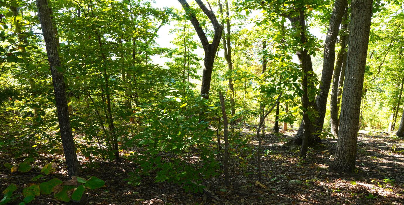 22-ac Sunset Drive LaFayette, GA 30728 - Photo 20 of 37 4.3 (Property Up-Close)