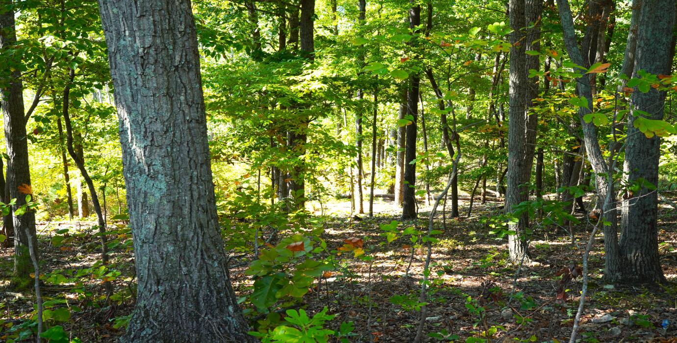 22-ac Sunset Drive LaFayette, GA 30728 - Photo 22 of 37 4.5 (Property Up-Close)