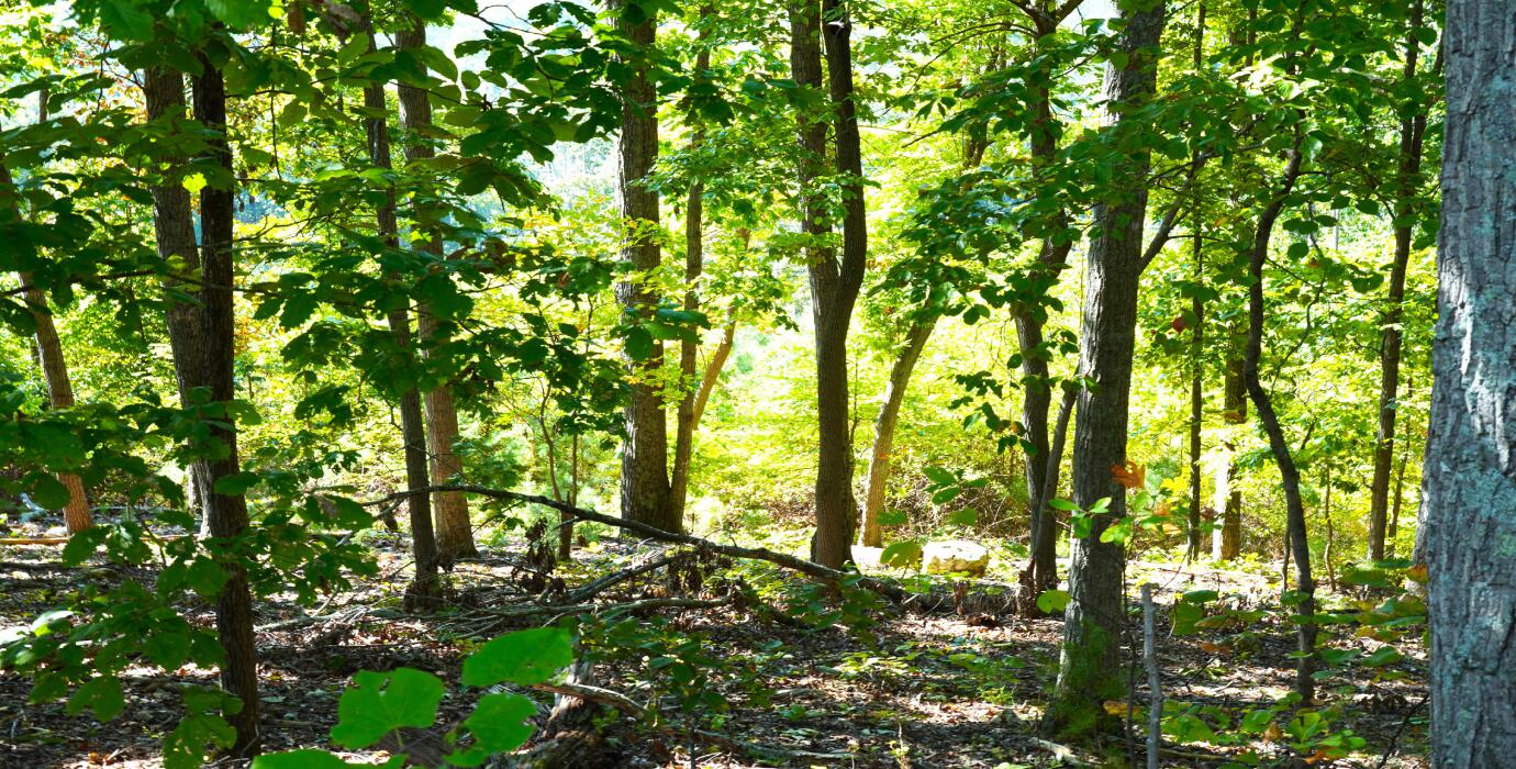 22-ac Sunset Drive LaFayette, GA 30728 - Photo 23 of 37 4.6 (Property Up-Close)