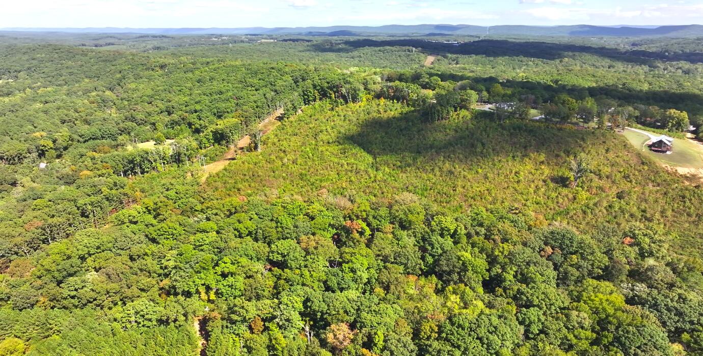 22-ac Sunset Drive LaFayette, GA 30728 - Photo 5 of 37 3.2 (Property Aerial)