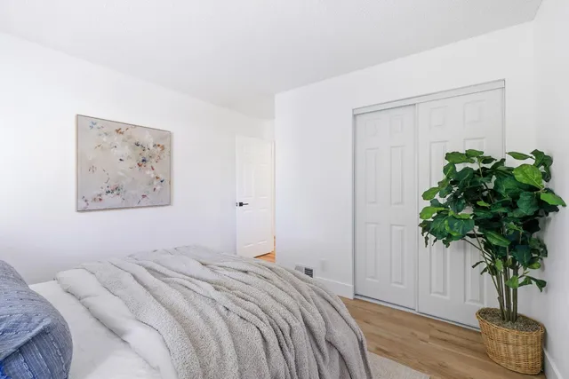 a bedroom with a large bed and a potted plant