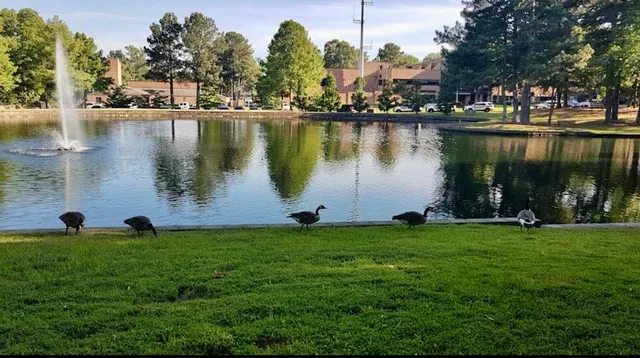 a view of a lake with a big yard