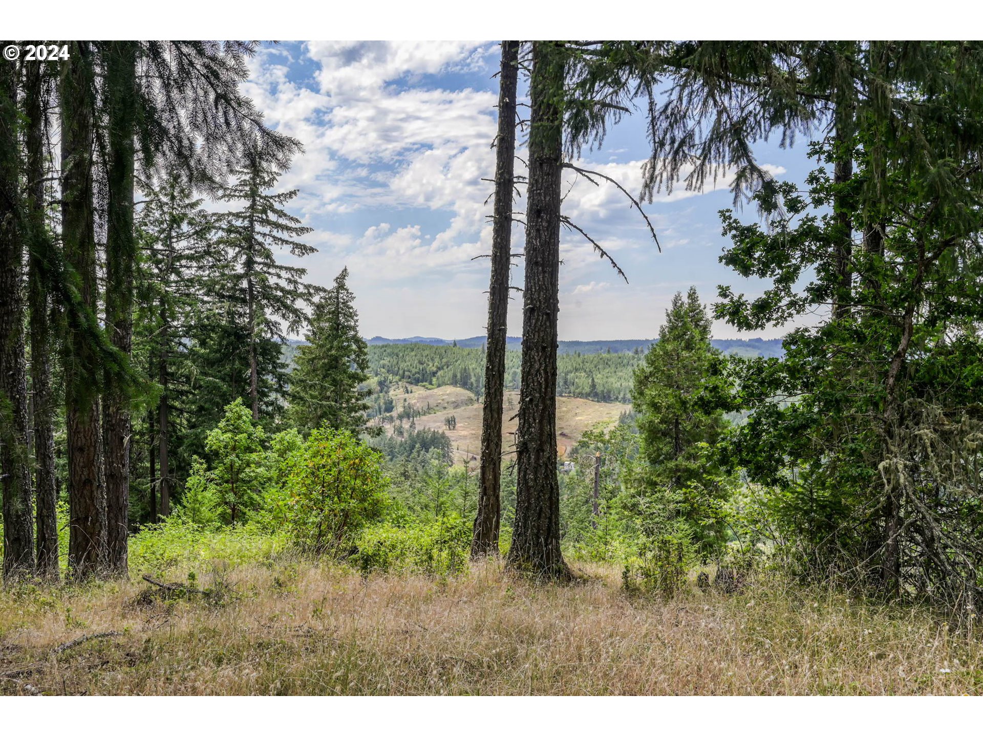 84679 Arlie Road Eugene, OR 97405 - Photo 2 of 45 Gallery Image 2