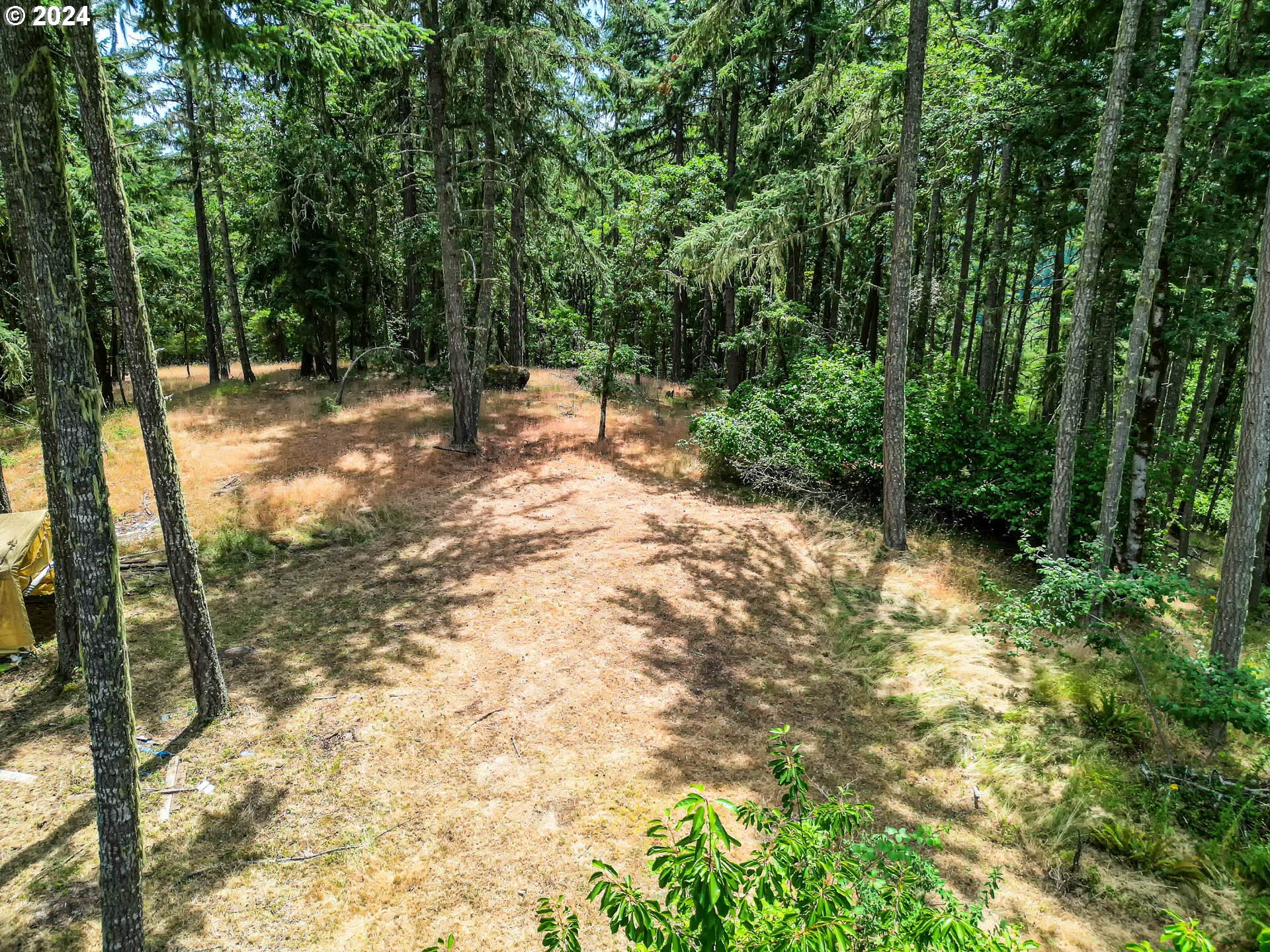 84679 Arlie Road Eugene, OR 97405 - Photo 3 of 45 Gallery Image 3