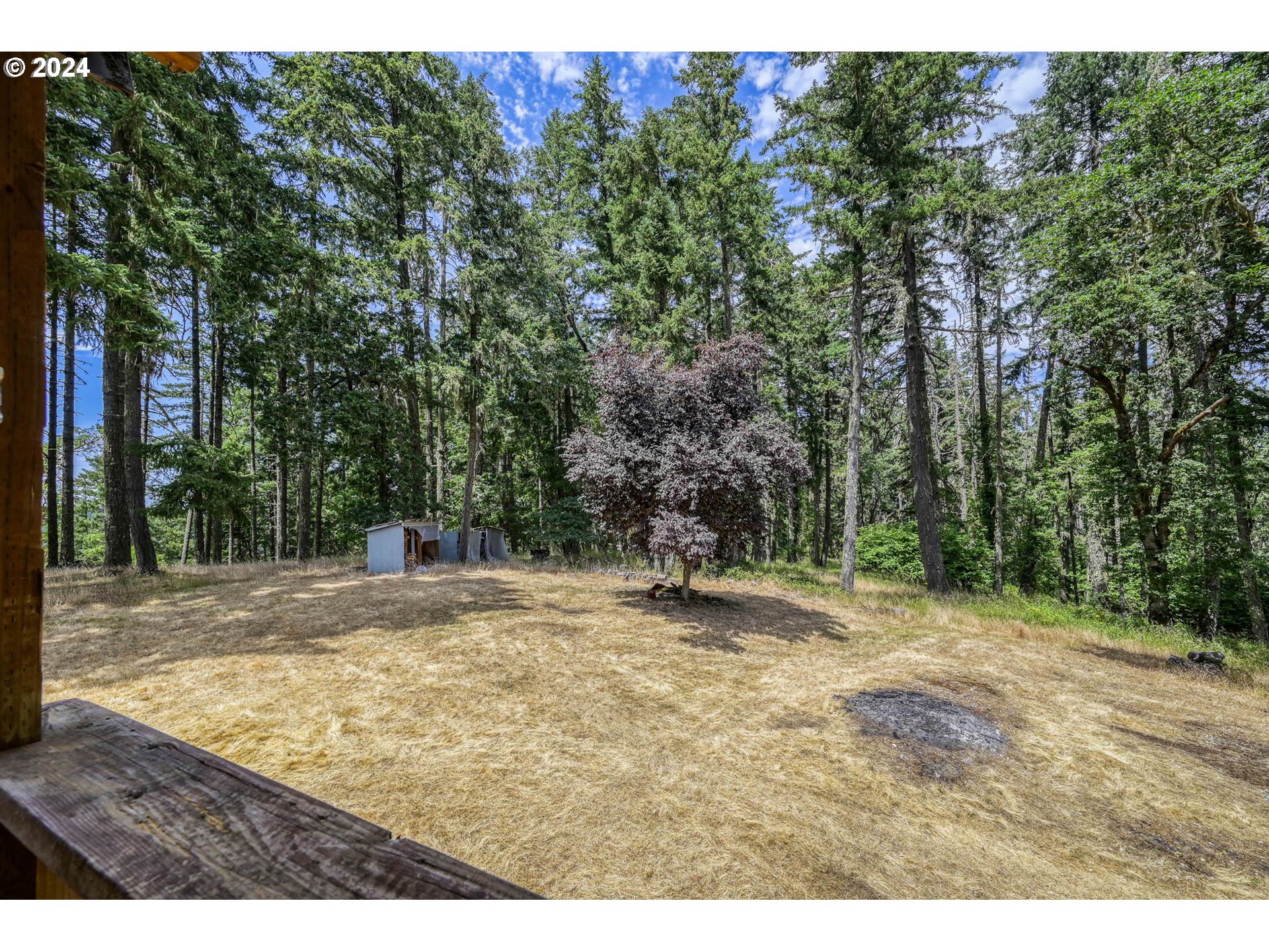 84679 Arlie Road Eugene, OR 97405 - Photo 37 of 45 Gallery Image 37