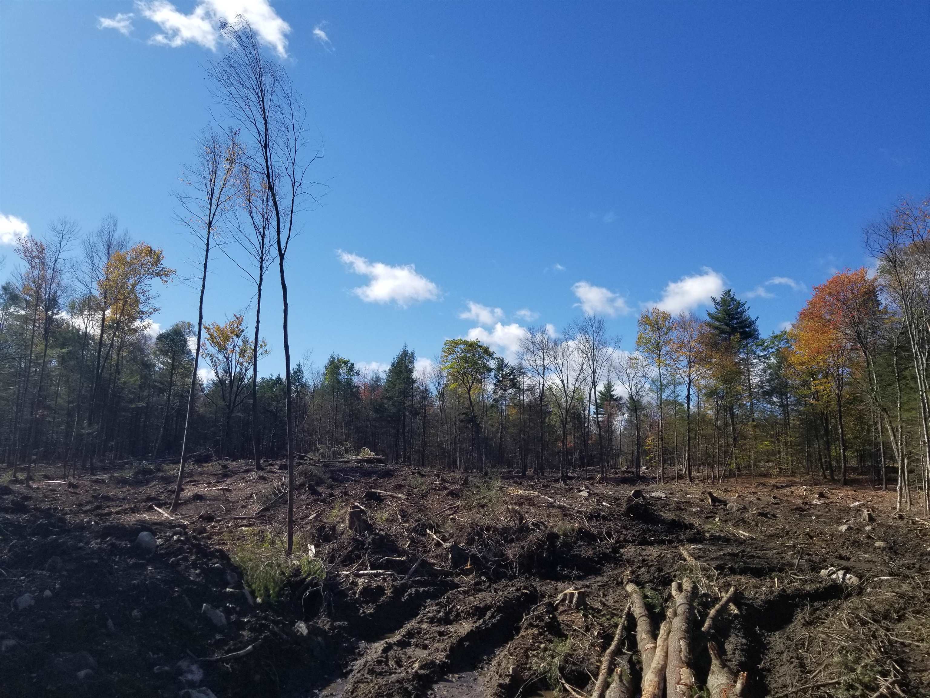10-29-1 Daley Road Fitzwilliam, NH 03447 - Photo 4 of 5