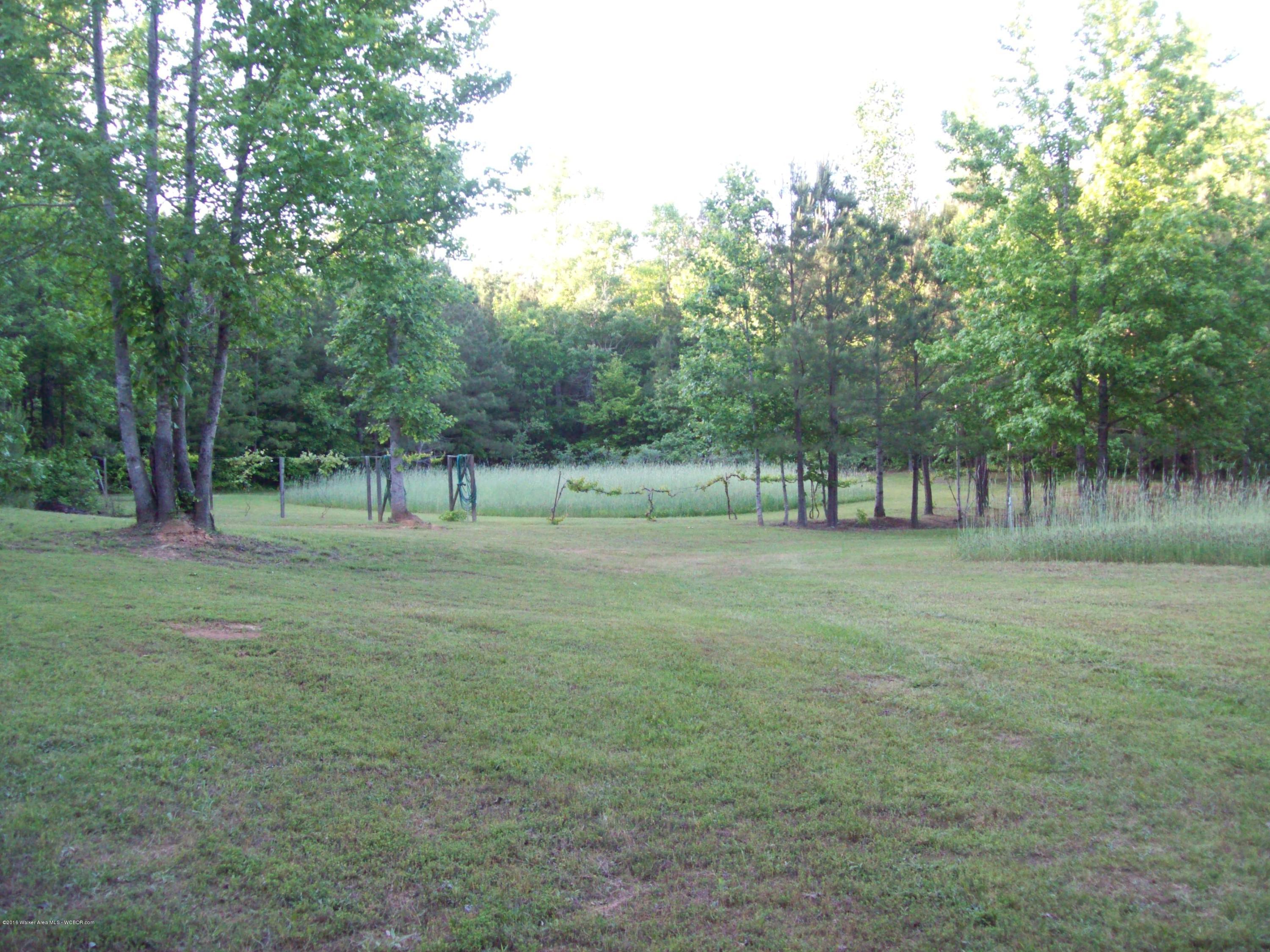 1844 Bethel Road Oakman, AL 35579 - Photo 9 of 17 Gallery Image 9