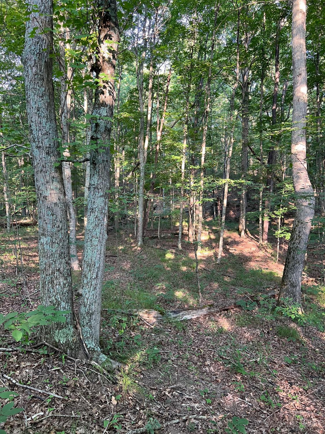 0 Tabernacle Road Chillicothe, OH 45601 - Photo 33 of 64