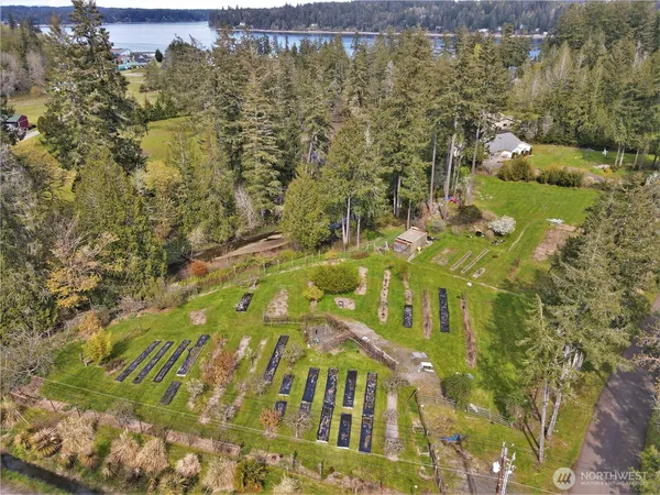 a view of yard