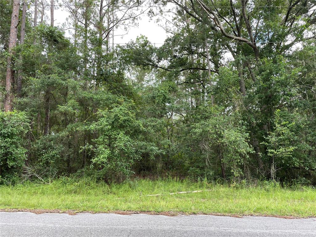 Southwest 88th Ln Road Dunnellon, FL 34431 - Photo 1 of 1 FRONT VIEW