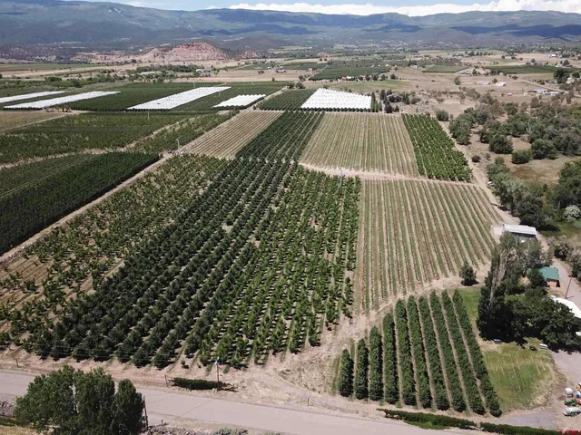 an aerial view of residential houses with outdoor space and trees