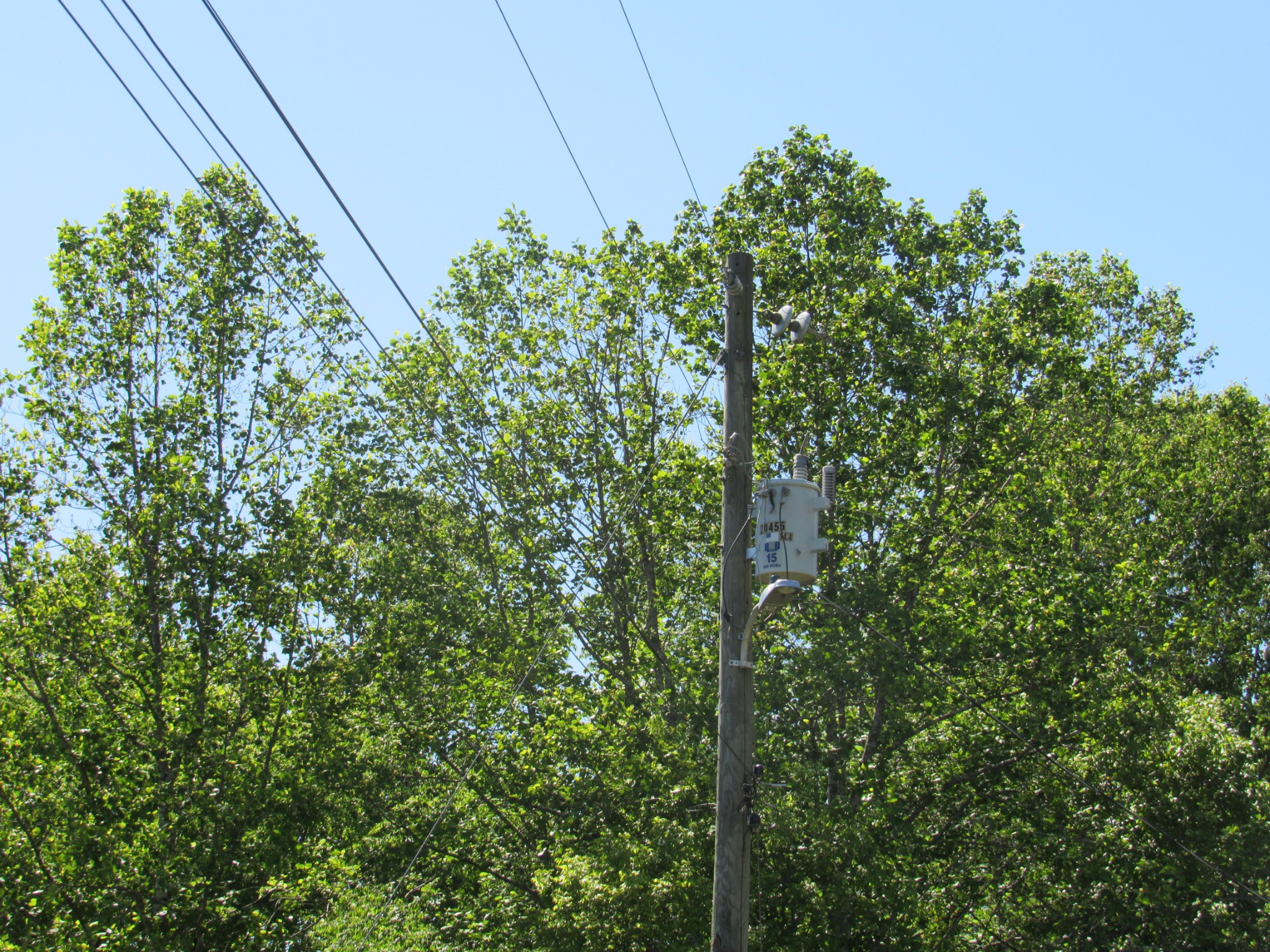 995 Old Railroad Bed Road Taft, TN 38488 - Photo 12 of 18 Gallery Image 12