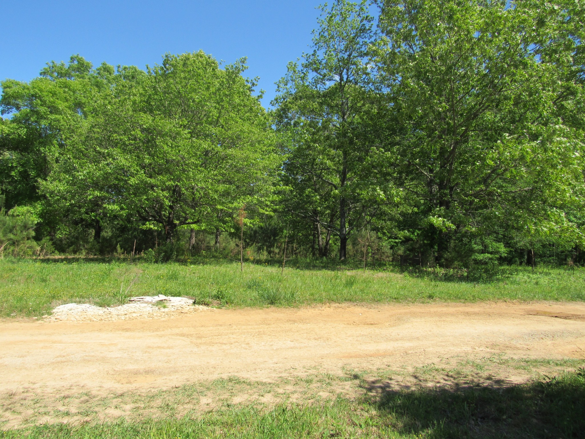 995 Old Railroad Bed Road Taft, TN 38488 - Photo 13 of 18 Gallery Image 13