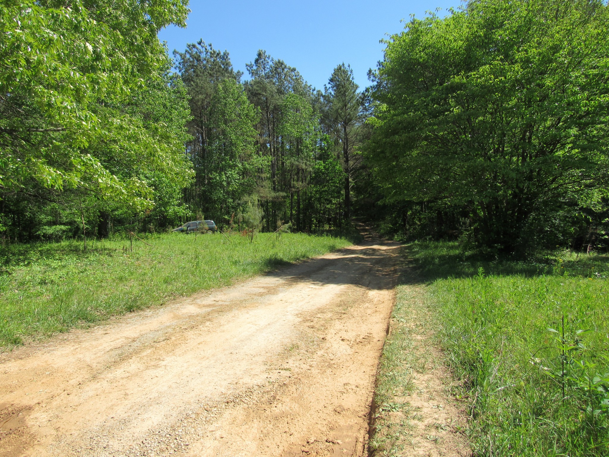 995 Old Railroad Bed Road Taft, TN 38488 - Photo 14 of 18 Gallery Image 14